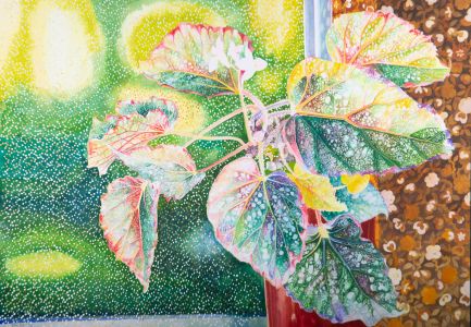 John Ivor Stewart PPPS (1936-2018) - 1985 Watercolour, Bold Begonias