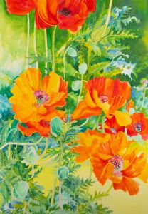 John Ivor Stewart PPPS (1936-2018) - Contemporary Watercolour, Plume Poppies