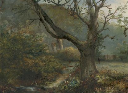 Early 20th Century Oil - Wild Forest