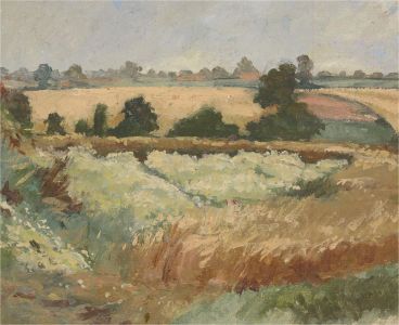 Keith Johnson (1931-2018) - 20th Century Oil, Summer Grassland