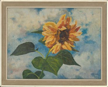 Dorothy Sheard - 20th Century Oil, Sunflower