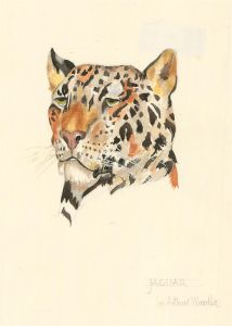 After Arthur Wardle (1860-1949) - 20th Century Watercolour, Jaguar