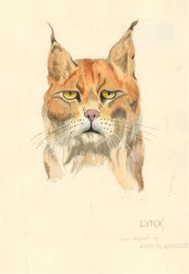 After Arthur Wardle (1860-1949) - 20th Century Watercolour, Lynx