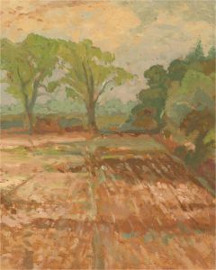 Keith Johnson (1931-2018) - Contemporary Oil, Late Summer Sun