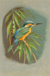 N.K. Day - 1993 Oil, Kingfisher