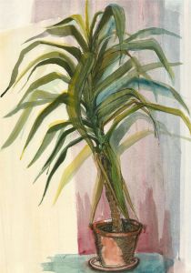 Pamela Guille ARCA - Contemporary Watercolour, House Plant III