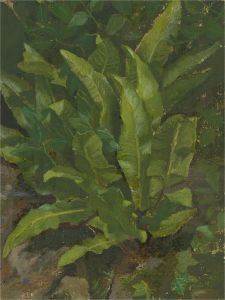20th Century Acrylic - Ivy & Leaves