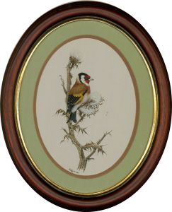 F.J.C. Wilde - 20th Century Watercolour, Goldfinch And Thistle Down