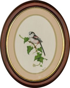 F.J.C. Wilde - 1989 Watercolour, Wagtail And Ivy