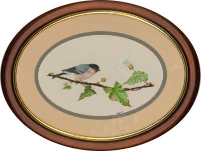 F.J.C. Wilde - 20th Century Watercolour, Bullfinch And Bindweed