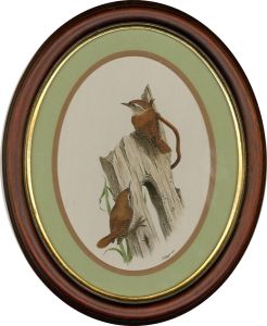 F.J.C. Wilde - 1989 Watercolour, Two Wrens