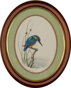 F.J.C. Wilde - 1988 Watercolour, Vibrant Kingfisher