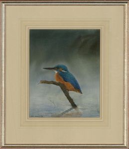 Mike J. Pengelly - 1992 Watercolour, Kingfisher