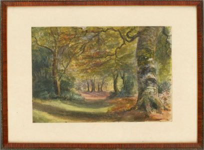 Early 20th Century Watercolour - The Great Woods