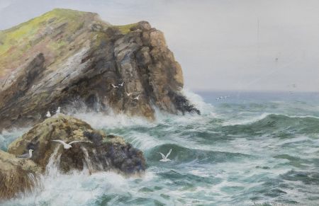 Reginald Daniel Sherrin (1891-1971) - Mid 20th Century Gouache, Coastal Gulls