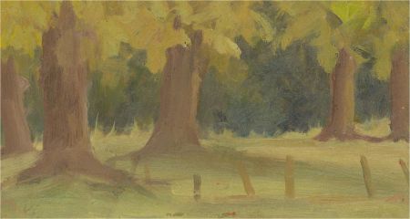 Vita Gollancz (1926-2009) - 1981 Oil, Trees at Hugh Hall