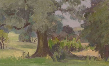 Vita Gollancz (1926-2009) - Contemporary Oil, Summer Trees