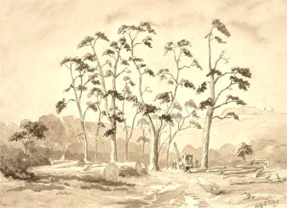 Hugh Edward Ridge (1899-1976) - Mid 20th Century Watercolour, Tree Felling