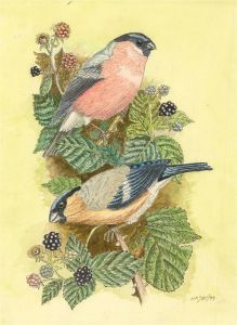 N.K. Day - 1999 Watercolour, Birds and Blackberries