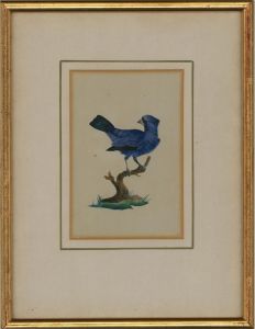 Mary Ann Hawson Philpot - 1829 Watercolour, Blue Jay