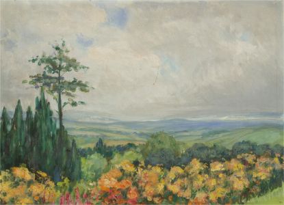 20th Century Oil - Landscape Scene with Vibrant Flowers