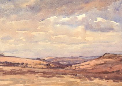 Brian C. Wade - Contemporary Watercolour, Dartmoor Landscape