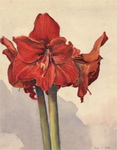 Brian C. Wade - 20th Century Watercolour, Amarylis