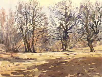 Brian C. Wade - Contemporary Watercolour, Dartmoor in Spring