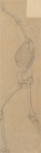 Dorothy Levett - 1914 Graphite Drawing, Skeletal Study of a Standing Figure