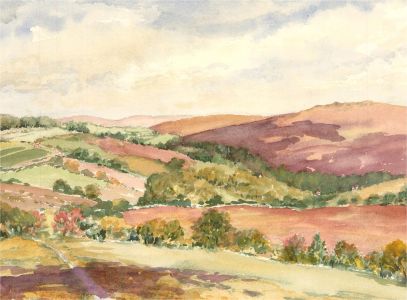 Sylvia E. Churchward-Wade - Contemporary Watercolour, In the Fields