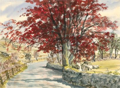 Sylvia E. Churchward-Wade - Contemporary Watercolour, Autumn Tree
