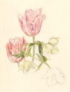 Sylvia E. Churchward-Wade - Contemporary Watercolour, Pink Tulips