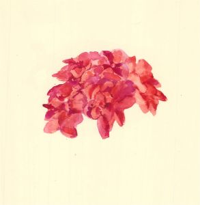 Sylvia E. Churchward-Wade - Contemporary Watercolour, Study of a Red Hydrangea