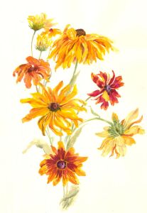 Sylvia E. Churchward-Wade - Contemporary Watercolour, Yellow Flowers
