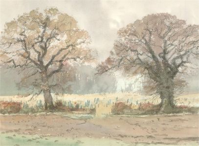 Keith Johnson (1931-2018) - Contemporary Watercolour, A Path in the Fields