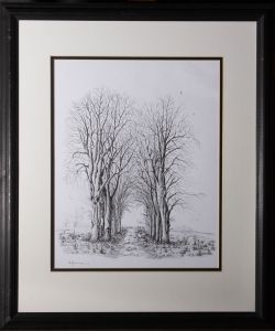 Nick Handover - 2004 Pen and Ink Drawing, Woodland Walk