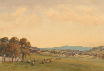 Wilfrid B. Tapp RWA (1880-1976) - Early 20th Century Watercolour, Grazing Flock