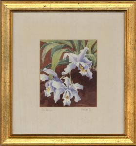 Sue Bourne - 20th Century Watercolour, Orchids III