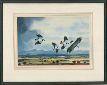 Noel McCready - 1998 Watercolour, Lapwings