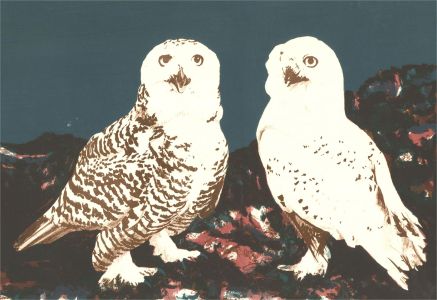 Peter Williams - Contemporary Silkscreen, Snowy Owls