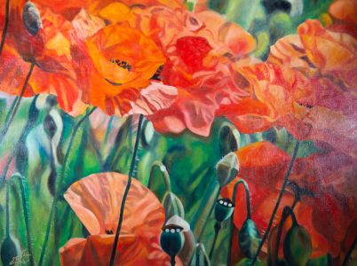 Sean Curley - Contemporary Oil, Among The Poppies