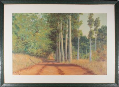 A. D. Widdery - 1961 Oil, Dappled Path