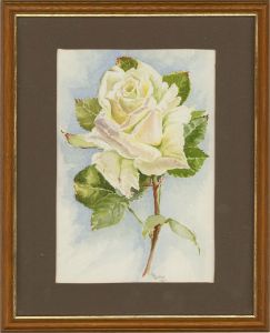 J.H. Luckas - 1987 Watercolour, White Rose