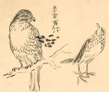 Frederick P. Cooke (1896-1978) - Pen and Ink Drawing, Birds of Prey