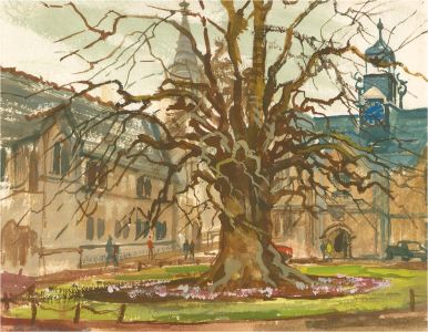 B.B. - 1984 Gouache, Old Oak Tree