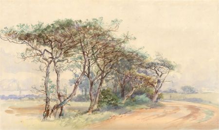 Mid 20th Century Watercolour - Spring Trees, Halswell