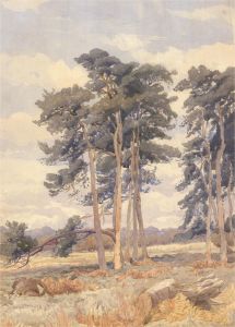 J.C. Rough - Early 20th Century Watercolour, Norfolk Tree