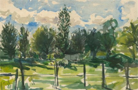 Peter Collins ARCA - 20th Century Watercolour, Woodland Scene, Buckinghamshire