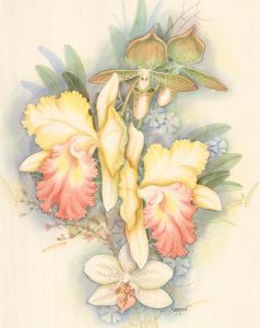 Thompson - 20th Century Watercolour, Orchid Bouquet