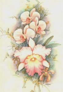 Thompson - 20th Century Watercolour, Orchids in Bloom